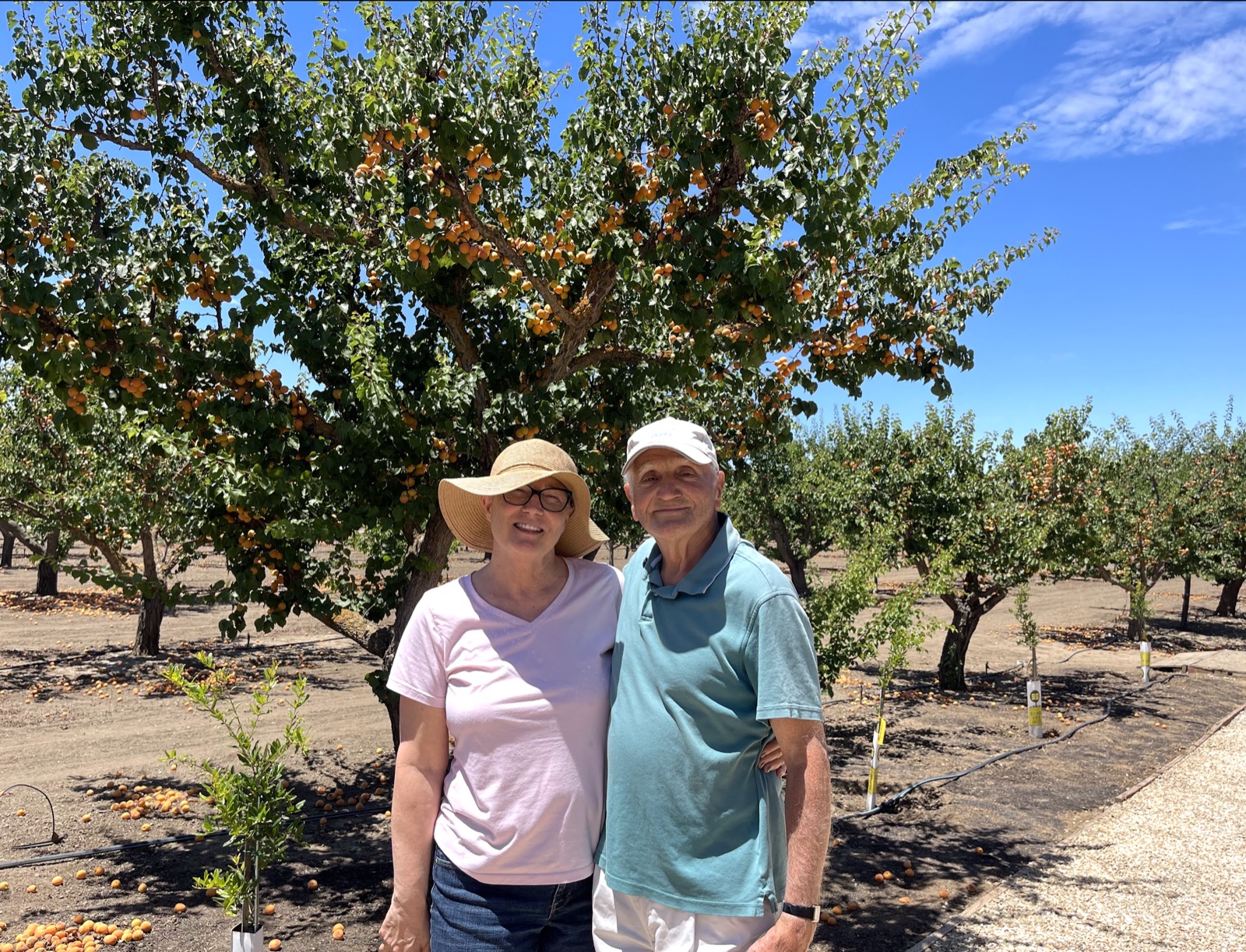 David and Susan standing together in the apricot orchard