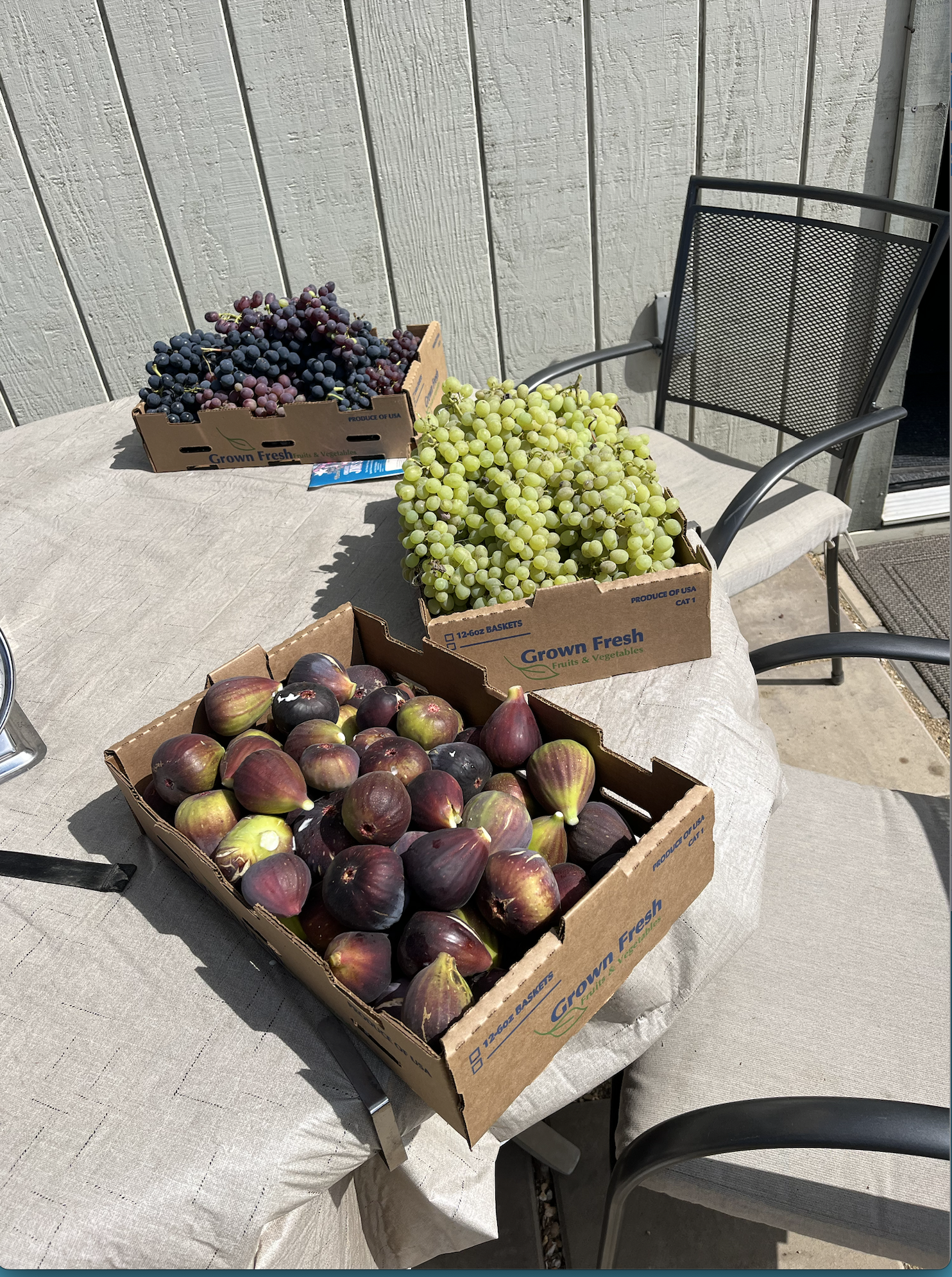 Grapes and black figs from Rassai Farms
